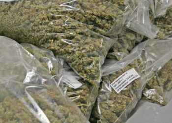 HZA-HN: Dopingmittel, Haschisch, Marihuana und Wasserpfeiffentabak sichergestellt