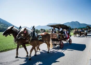 Rosstag kehrt mit neuem Festplatz zurück